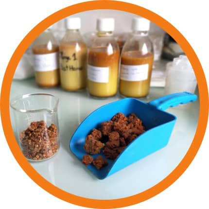 Garantir les polyphénols de la propolis